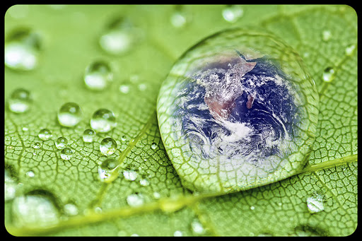 Planet earth inside a raindrop closeup on a green leaf © Danymages / Shutterstock &#8211; fr