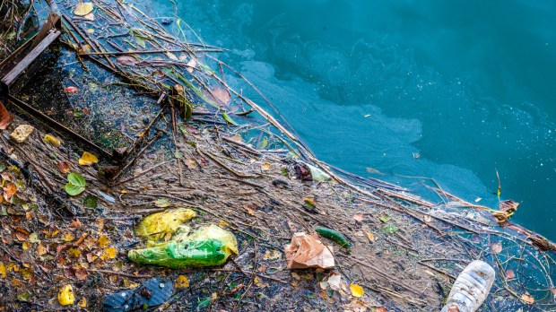 WEB GARBAGE OCEAN FOOD WASTE POLLUTION © NomadFra Shutterstock_