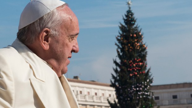 Pope Francis General Audience &#8211; Christmas tree