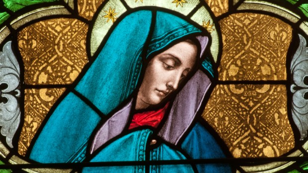web-madonna-mary-stained-glass-nancy-bauer-shutterstock_154303703