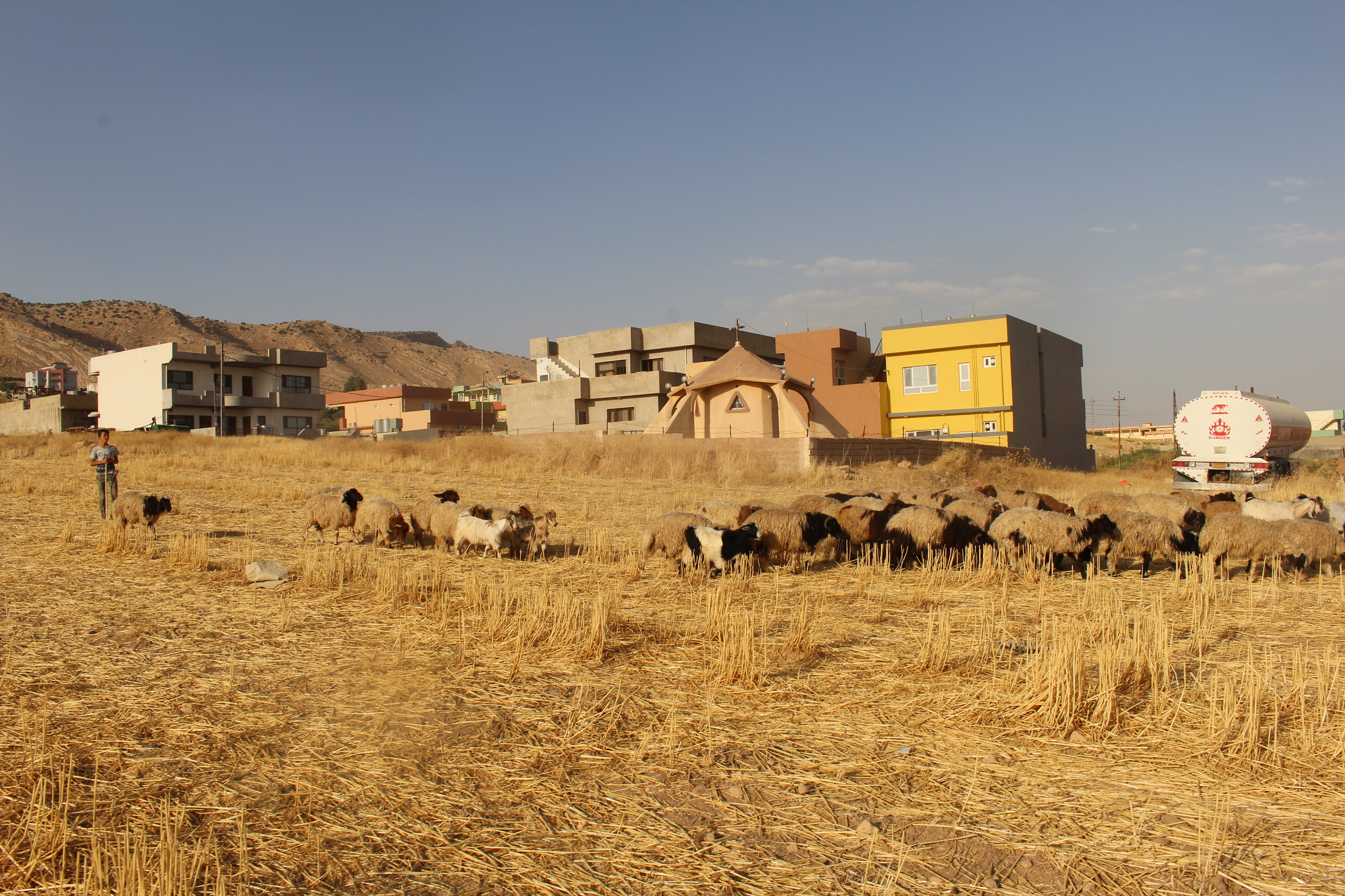 Champs de céréales à perte de vue devant le sanctuaire d'Alqosh. © Sylvain Dorient