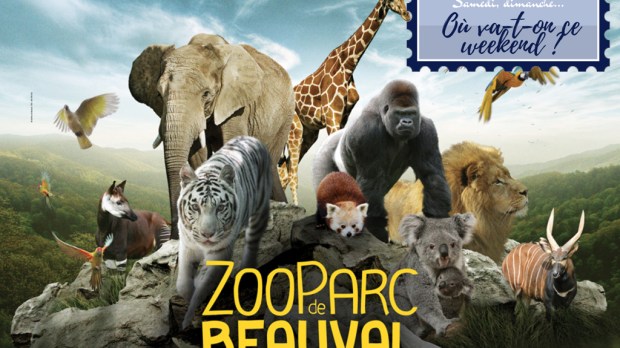 web-zoo-parc-beauval-c2a9-zoo-parc-de-beauval-2
