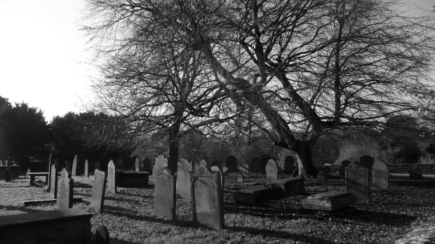 cemetery-20005_1920