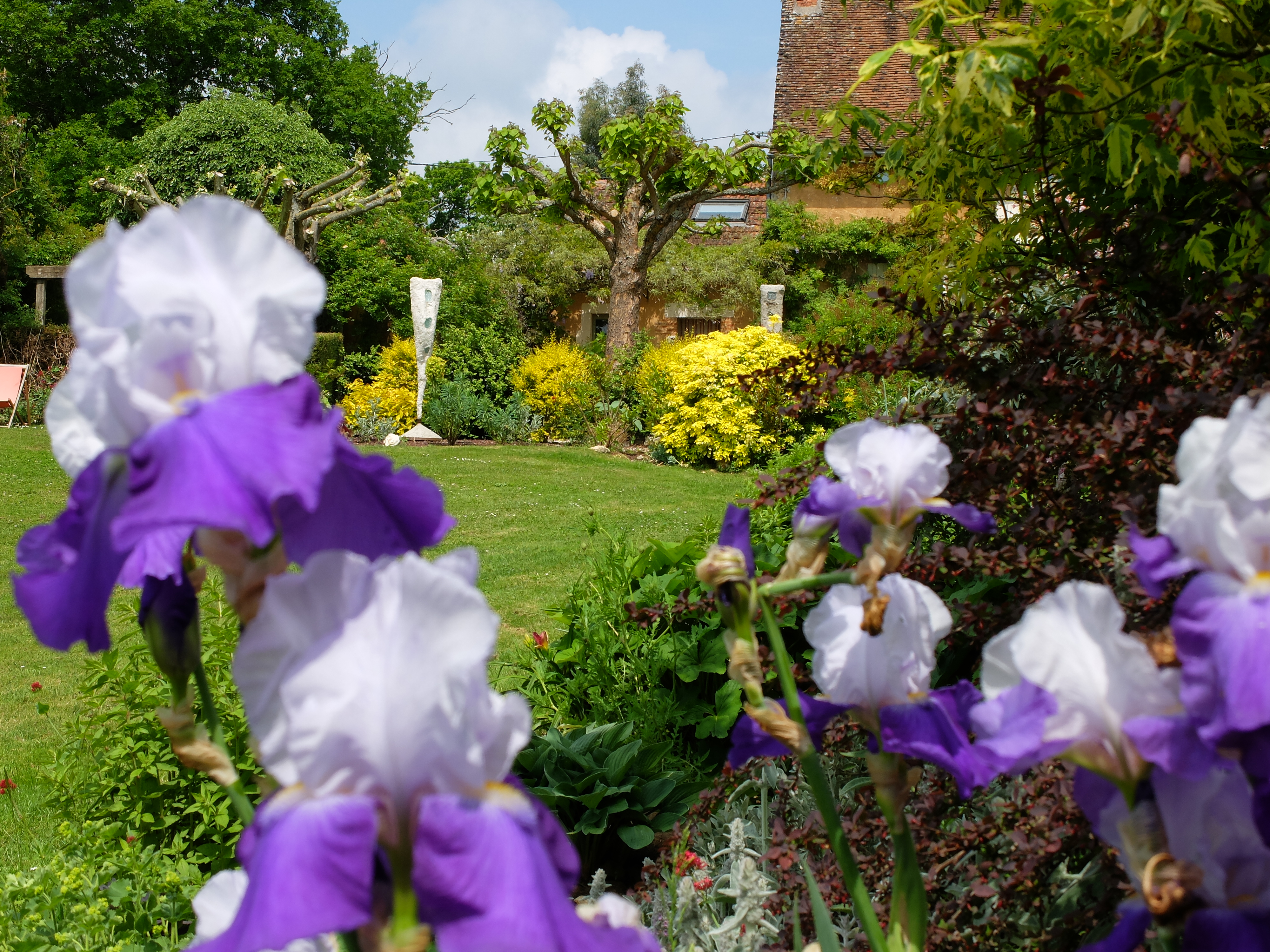 Un jardin d'iris privé aux alentours de Sancerre