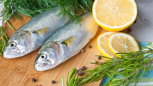 WEB-Fresh fish with the vegetables and lemon-shutterstock_491219305-By freya-photographer-AI