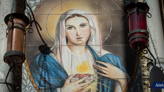 Virgin Mary