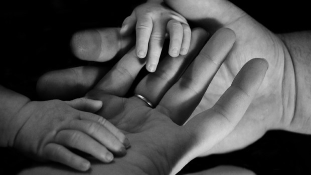 HANDS