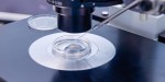 IN VITRO
