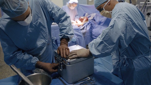 DONATION ORGANS