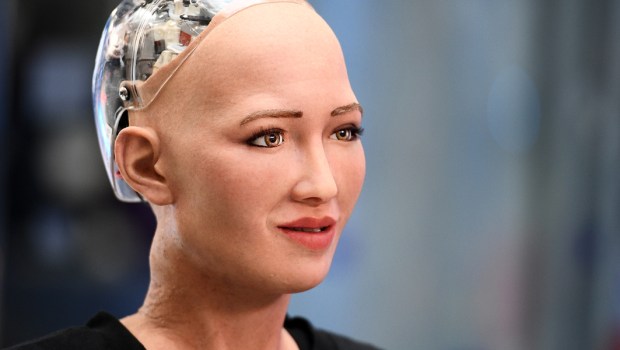 Saphia Robot