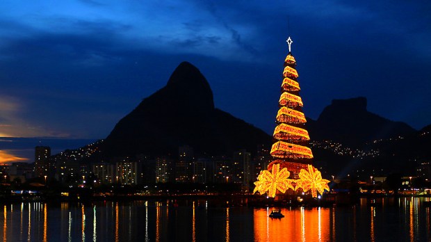 Rio Christmas Tree