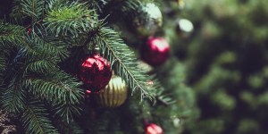 Cinq conseils pour garder son sapin au top jusqu’à Noël