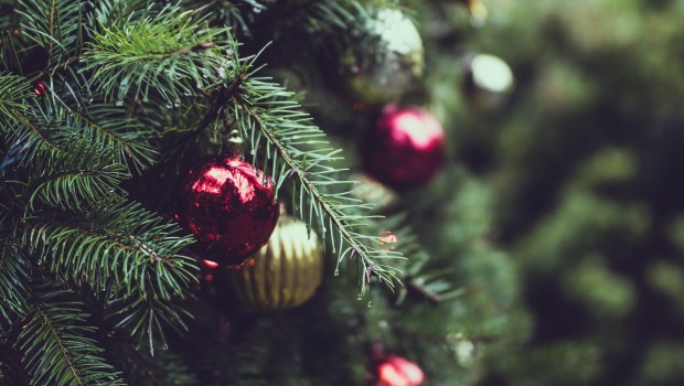 CHRISTMAS TREE