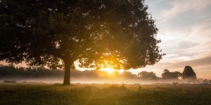 Une belle prière pour commencer la journée et rendre nos vies plus inspirées