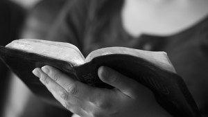 WOMAN READING THE BIBLE