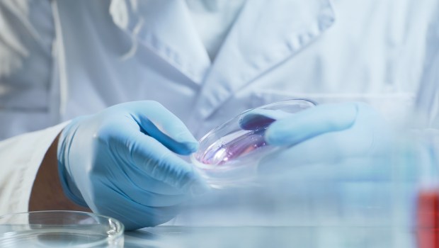 LAB DOCTOR