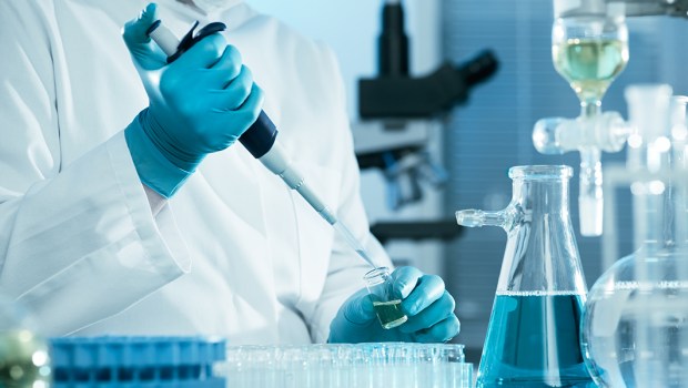 SCIENTIST WORKING AT THE LABORATORY