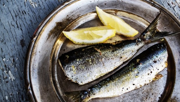 SARDINES