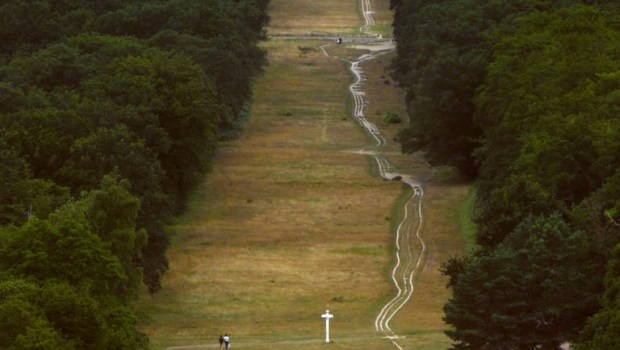 FOREST, COMPIEGNE