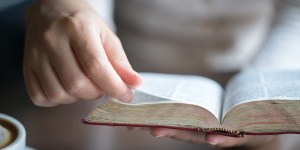 D&rsquo;ici 2038, la quasi-totalité de l&rsquo;humanité devrait avoir accès à la Bible