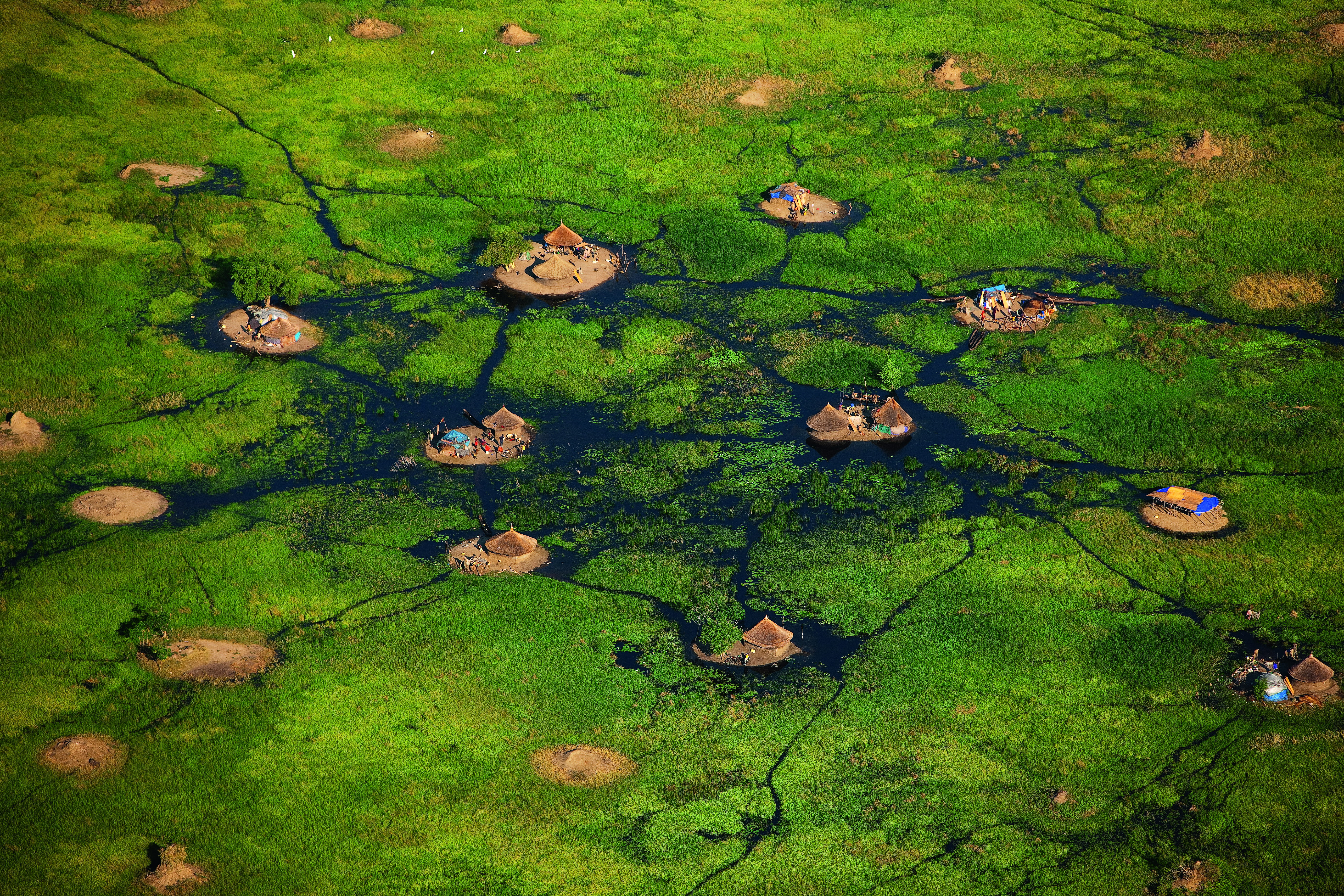 YANN ARTHUS-BERTRAND Village in the White Nile swamps near Bor, Jonglei, South Sudan (6°22’ N – 31°32’ E).
