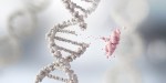 DNA