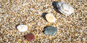L’œil de sainte Lucie, précieux coquillage