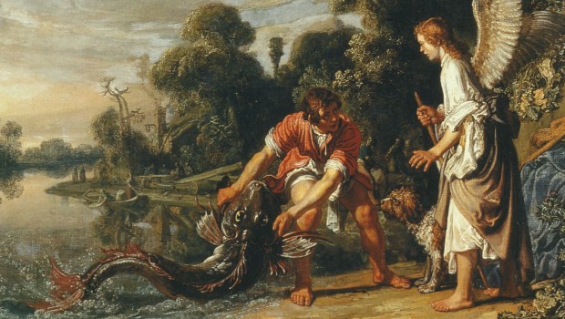 TOBIAS VANGT DE VIS