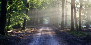 La sainteté, un chemin quotidien