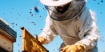 BEEKEEPER HONEY