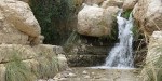 Cascades d'Ein Gedi