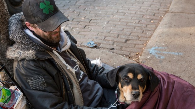 SDF avec son chien