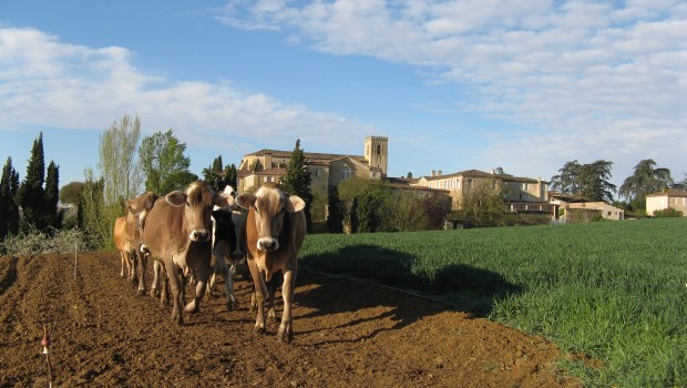 abbaye de boulaur ferme