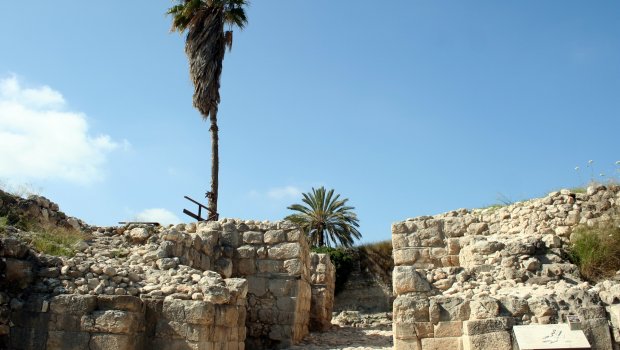 WEB2-megido_city_gate1.jpg