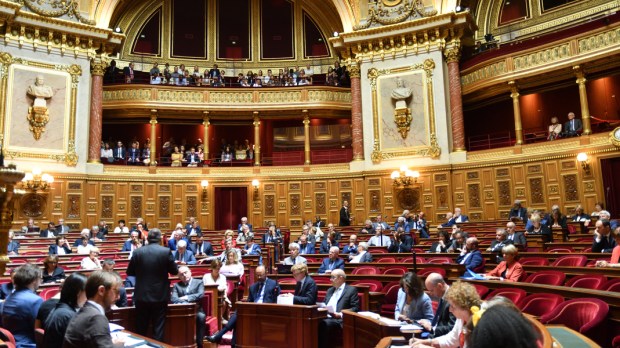 senat.jpg