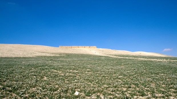 Israel__the_Negev_desert.The_Israelite_fortress_at_Tel_Arad.jpg