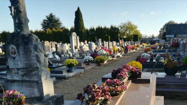 cimetière fleuri