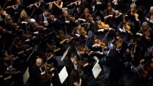 SYMPHONY-ORCHESTRA-shutterstock_87821464.jpg