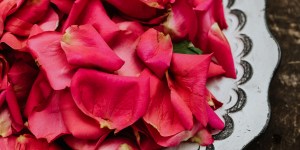 Pourquoi la Pentecôte est parfois appelée le Dimanche des roses ?