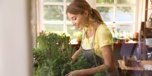 Dix bonnes raisons d’avoir des plantes chez soi