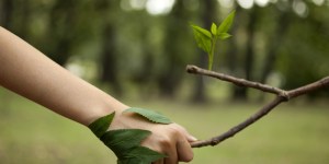 Pour une biodiversité intégrale