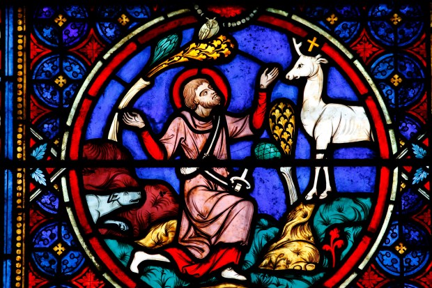 WEB2-CERF-GODONG-FR496397C.jpg