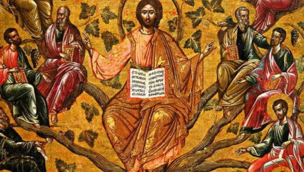 WEB2-CHRIST_VIGNE_VÉRITABLE_domaine-public.jpg