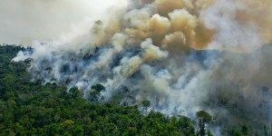 COP26 : l&rsquo;accord sur les forêts, la revanche des enracinés