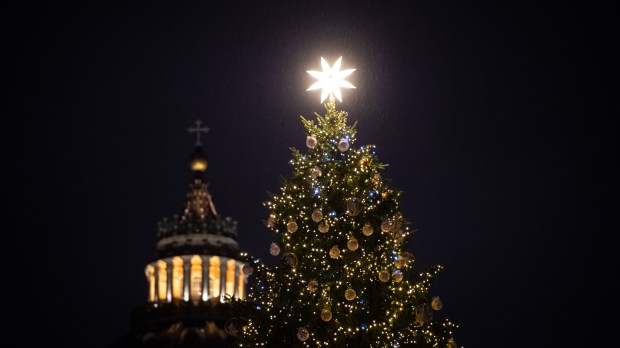 Vatican's Christmas Tree and Nativity Scene