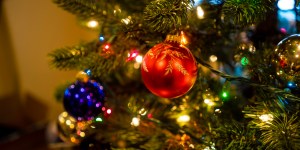 Le sapin de l’Avent, cet arbre du péché revêtu de lumière