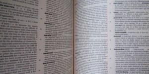 « Noël » et « Marie », tous ces mots que la Commission européenne voulait bannir