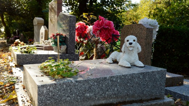 CIMETIÈRE DES CHIENS ASNIERES