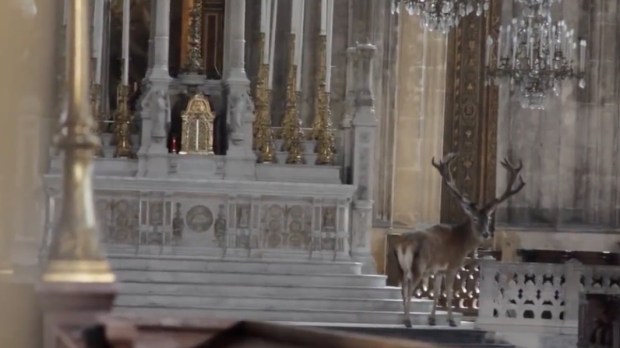 DEER-FRENCH-CHURCH.jpg