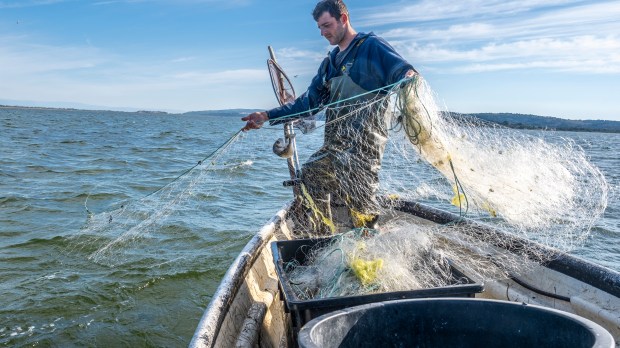 PECHE-FISHING-AFP-080_HL_FLAURENS_1472839.jpg